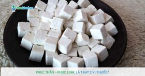 Phục thần – Phục linh: Là 1 hay 2 vị thuốc?