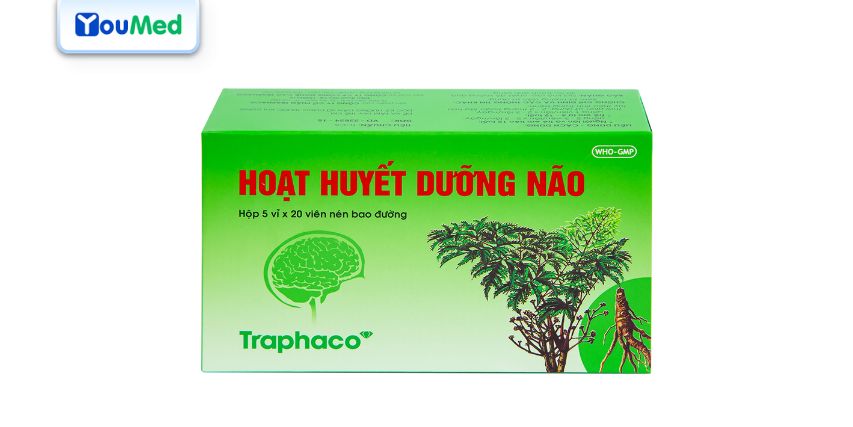 Những điều cần biết về thuốc Hoạt huyết dưỡng não