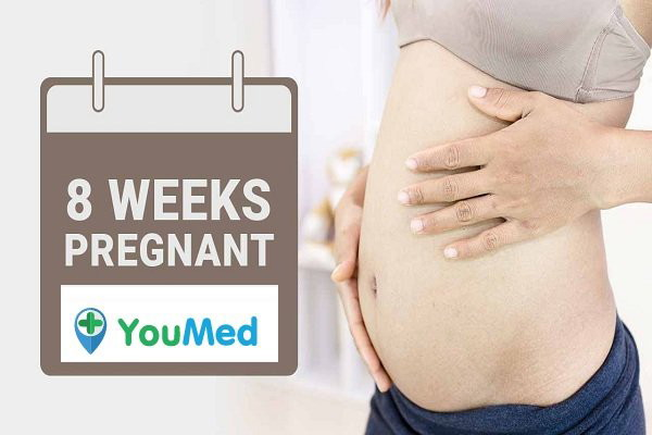 Mang thai tuần 8: Sự phát triển của thai nhi - YouMed