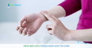 Mách bạn cách phòng ngừa nhịp tim chậm