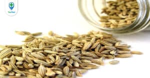 Tiểu hồi: Vị thuốc giúp cho đường tiêu hóa