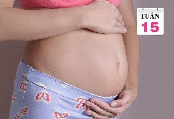 Mang thai tuần thứ 15 và những thay đổi trên cơ thể mẹ bầu