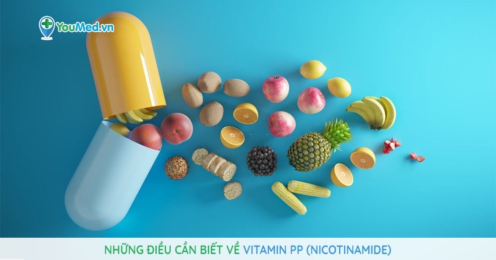 Những điều cần biết về thuốc vitamin PP (nicotinamide)