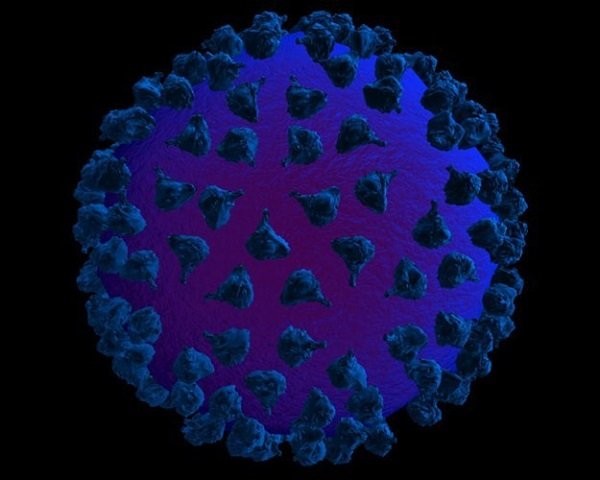 virus HPV bên dưới kính hiển vi năng lượng điện tử
