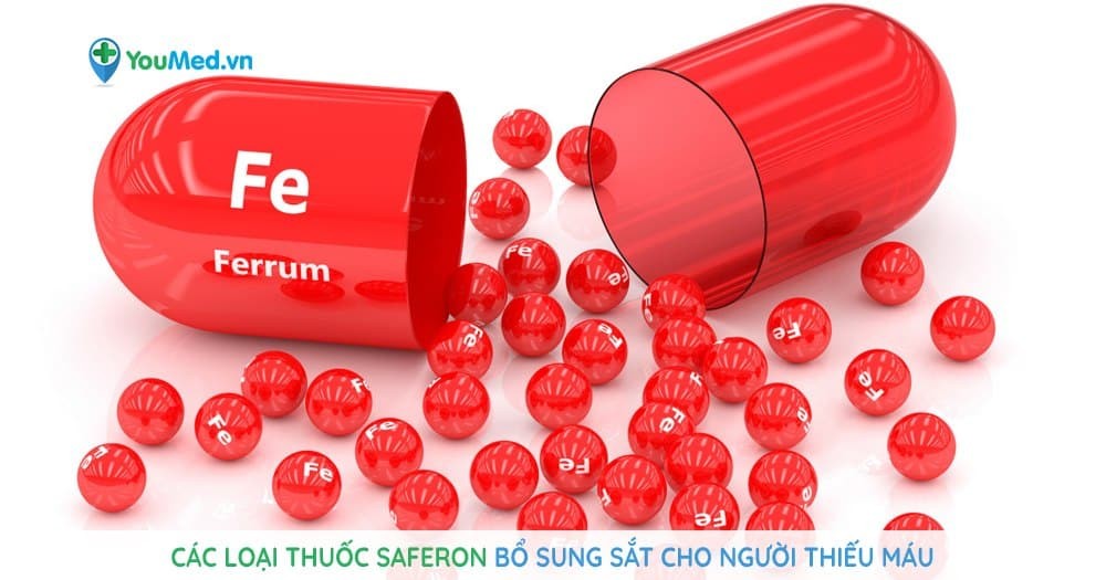 Các loại thuốc Saferon bổ sung sắt cho người thiếu máu