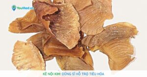Kê nội kim: Dũng sĩ hỗ trợ tiêu hóa