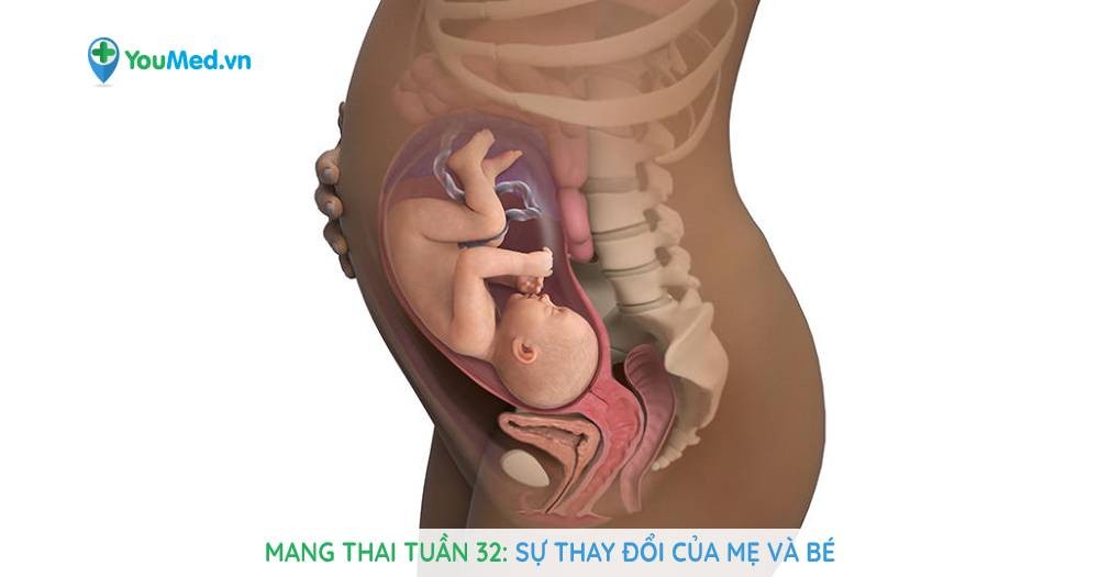 Mang thai tuần 32: Sự thay đổi của mẹ và bé