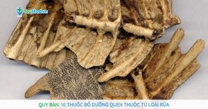 Quy bản: Vị thuốc bổ dưỡng quen thuộc từ loài rùa