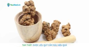 Tam thất: Dược liệu quý cầm máu hiệu quả
