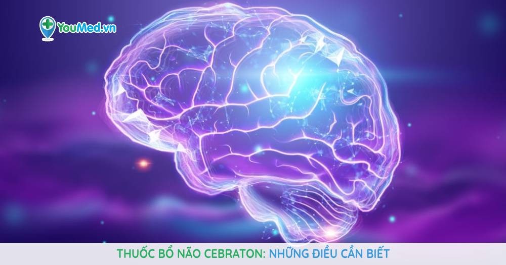Bổ não cebraton có tác dụng gì và liệu có hiệu quả không?