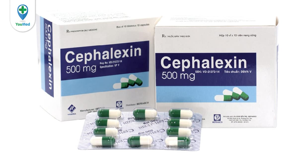 Cephalexin 500 có tác dụng điều trị những bệnh nhiễm trùng nào?