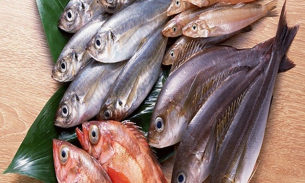 điều cần tránh khi mang thai: Các loại cá có hàm lượng thủy ngân cao
