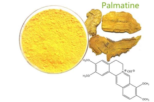 Thành phần palmatin có trong Hoàng đằng mang lại nhiều tác dụng