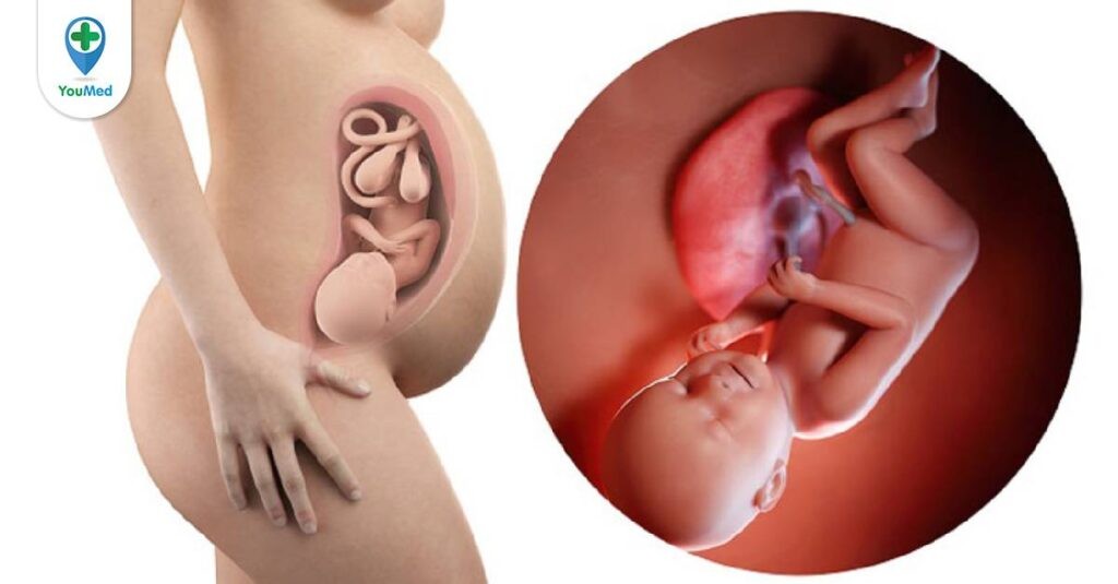 Mang thai tuần 38: Cột mốc đặt biệt khi thai nhi đã vừa đủ tháng