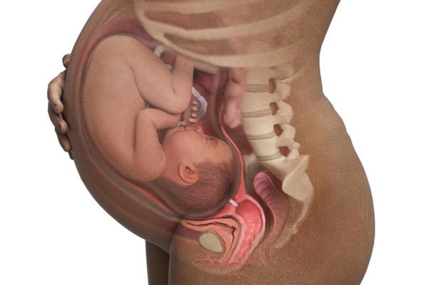 Thai nhi khi người mẹ mang thai 39 tuần