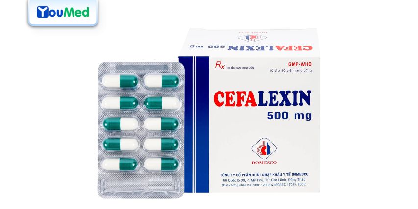 Thuốc Cefalexin: Công dụng, cách dùng và lưu ý
