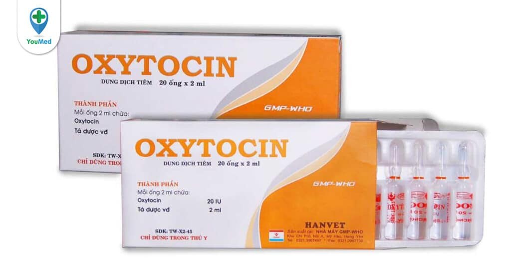 Thuốc Oxytocin: Công dụng, cách dùng và lưu ý khi sử dụng