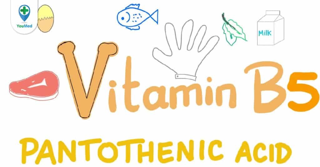 Những điều cần biết về thuốc Vitamin B5