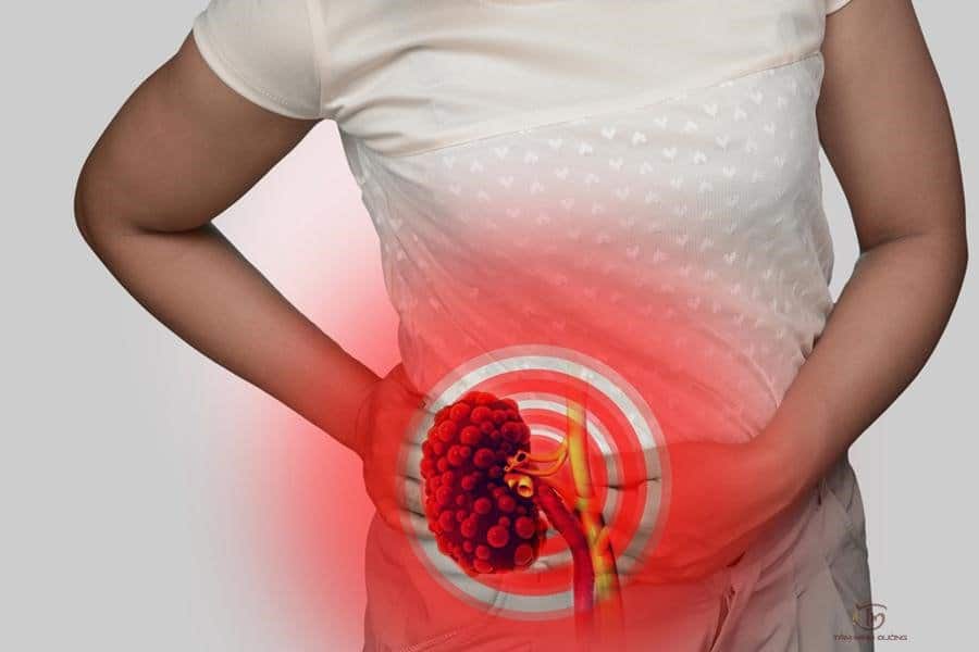 Xét nghiệm nước tiểu khi mang thai có thể giúp mẹ bầu sớm phát hiện bệnh thận nguy hiểm