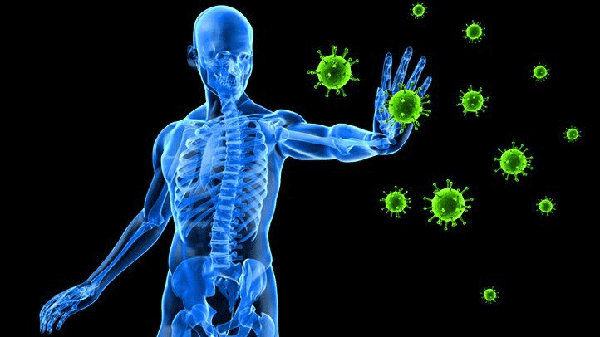  Hệ miễn dịch vốn có vai trò bảo vệ cơ thể