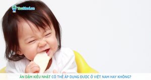 Ăn dặm kiểu Nhật có thể áp dụng được ở Việt Nam hay không?