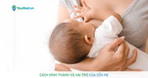 Cách hình thành và vai trò của sữa mẹ