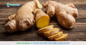 Sinh khương (Gừng): Vị thuốc dễ kiếm với nhiều công dụng