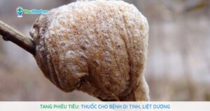 Tang phiêu tiêu: Thuốc cho bệnh di tinh, liệt dương