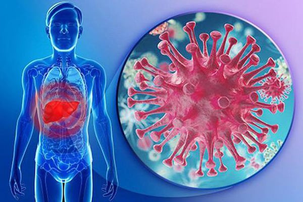 Diệp hạ châu: Thảo dược có tác dụng bảo vệ lá gan - YouMed