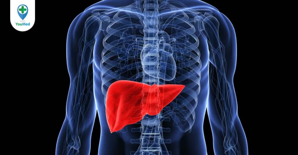 Hội chứng gan phổi: Định nghĩa, dấu hiệu, chẩn đoán và phương pháp điều trị