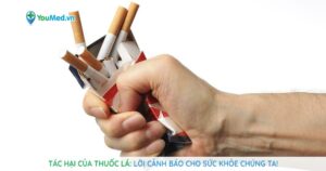 Tác hại của thuốc lá: Lời cảnh báo cho sức khỏe chúng ta!