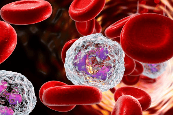Tế bào bạch cầu trong máu