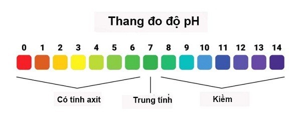 Minh họa thang đo độ pH