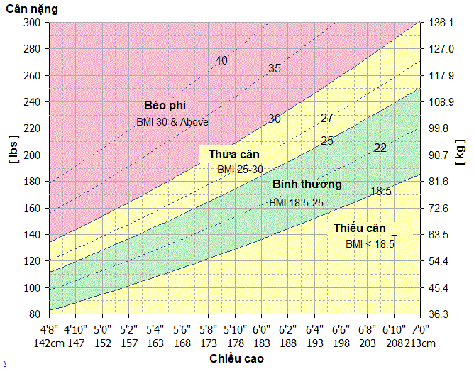 Biểu đồ chỉ số BMI