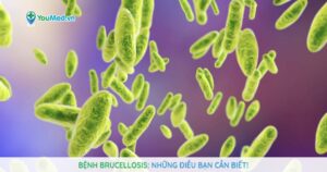Bệnh Brucellosis: Những điều bạn cần biết!