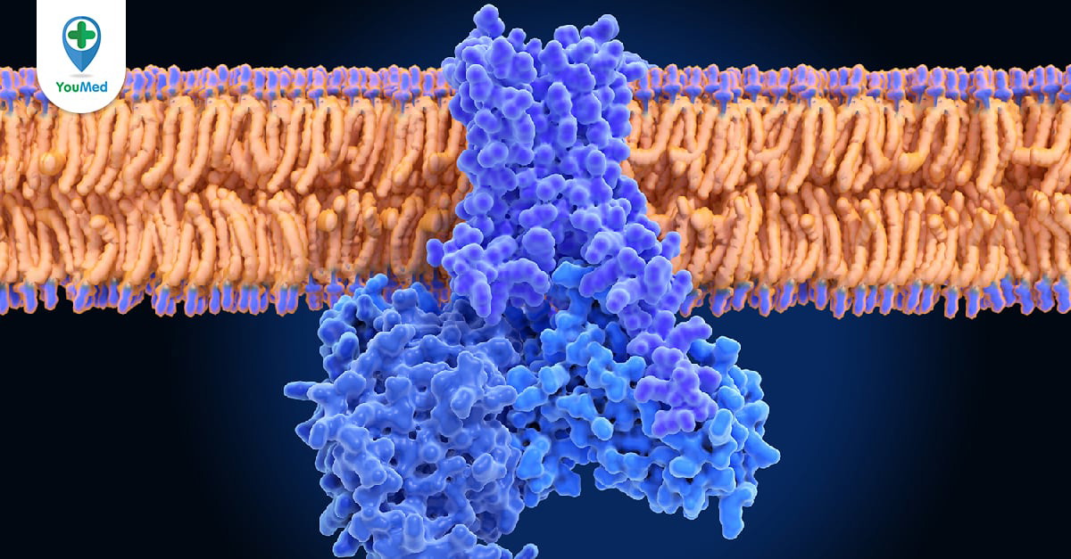 Hệ thống thần kinh sử dụng dopamine ra sao?
