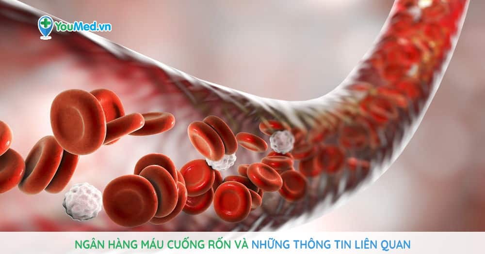 Ngân hàng máu cuống rốn và những thông tin liên quan
