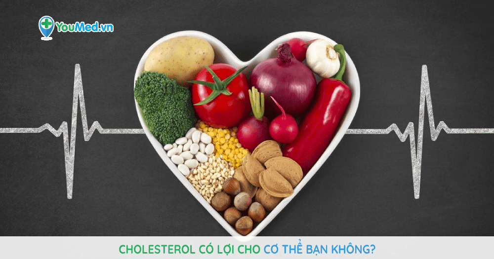 Cholesterol có lợi cho cơ thể bạn không?