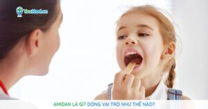 Amidan là gì? Cấu tạo, chức năng và các bệnh thường gặp