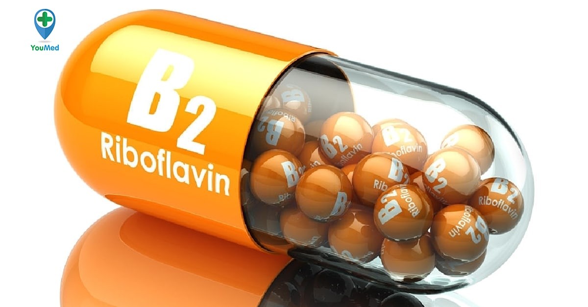 Tại sao vitamin B2 cần được uống cùng với nhiều nước?
