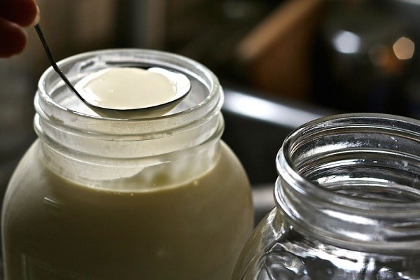 Ăn sữa chua để tăng cường lợi khuẩn đường ruột