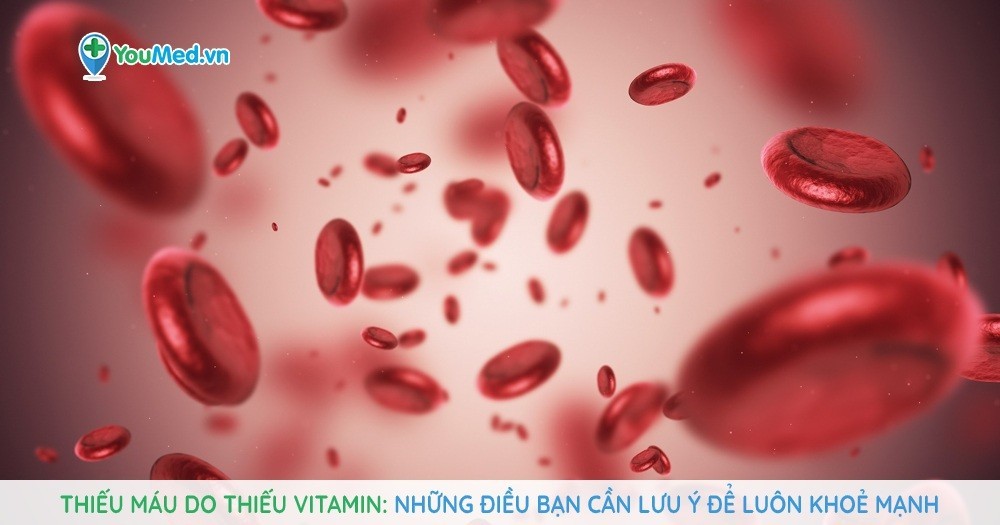 Thiếu máu do thiếu vitamin - Những điều bạn cần lưu ý để luôn khoẻ mạnh
