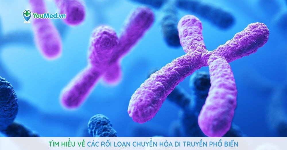 Tìm hiểu về các rối loạn chuyển hóa di truyền phổ biến