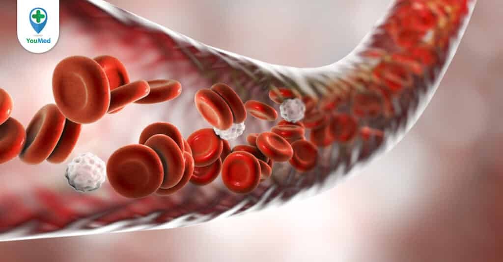 Albumin trong máu có vai trò như thế nào?
