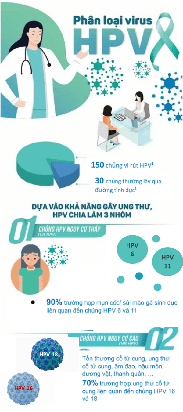 các chủng HPV gây bệnh