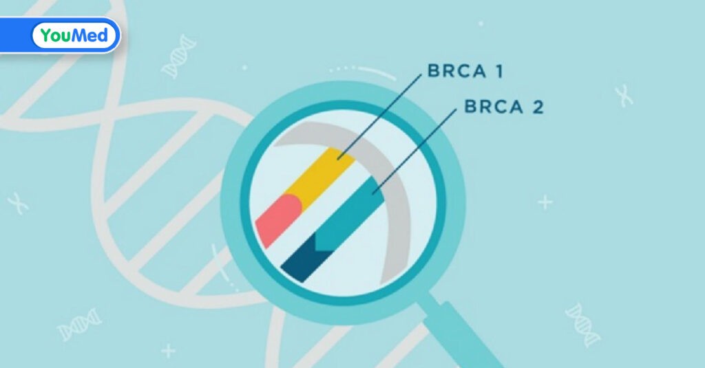 Gen BRCA và nguy cơ ung thư vú cũng như các cơ quan khác