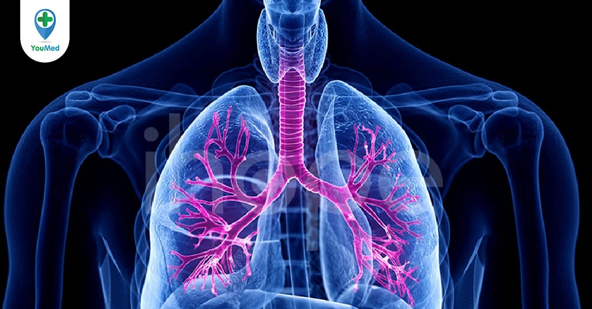  Giải phẫu phế quản phổi : Những bí mật bạn chưa biết