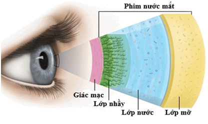Các lớp của phim nước mắt
