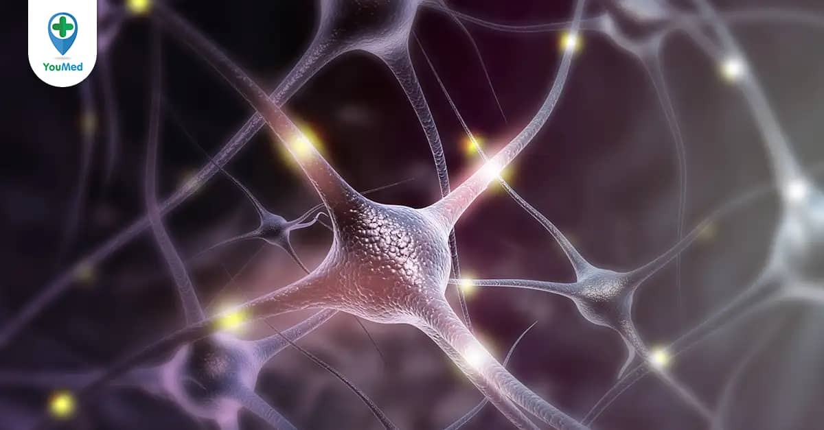 Tế bào thần kinh: Cấu tạo, hoạt động và chức năng - YouMed