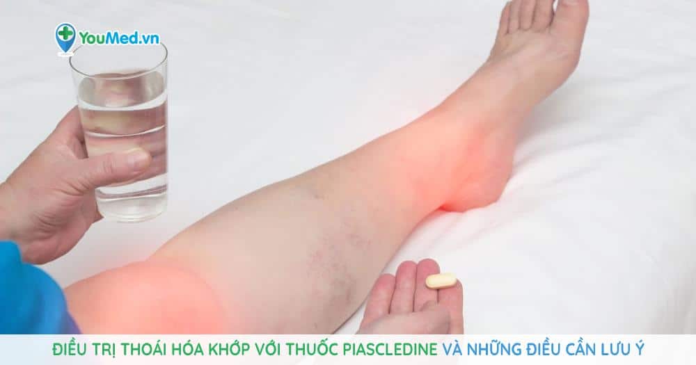 Điều trị thoái hóa khớp với thuốc Piascledine và những lưu ý